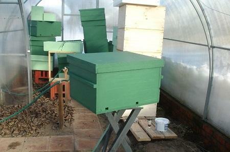 De kas is een geschikte plaats voor overwintering bijen