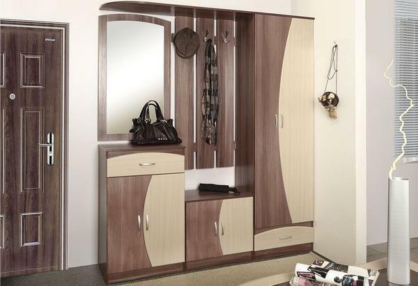 A narrow closet in the hallway: compartment and photo, a long corridor, a depth of 30 and 40 cm, the color of a light beech, the design of a five-meter