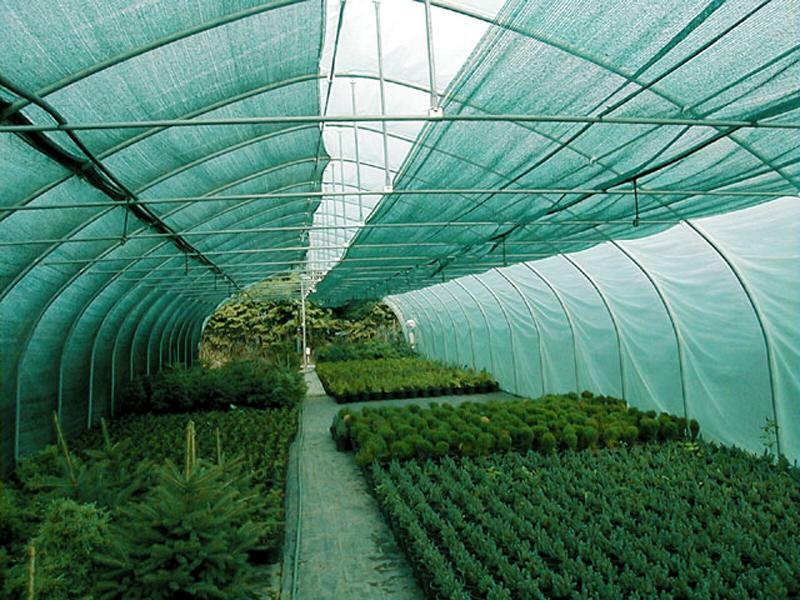 Skuggat mesh Green: tält och filtar för växthus, spaljé och foto skyddsnät, myggnät