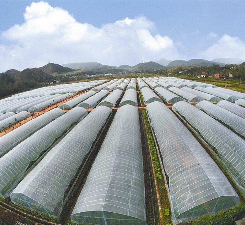 Moderní skleníky: polykarbonát, zahradní fotografie, pěstování zimě, druh skleníky, zimní, obchodní technologie