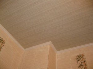 The ceiling of PVC panels