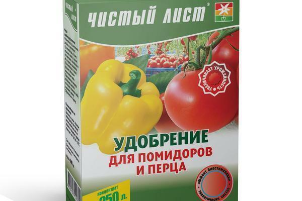 Gödsling paprika i ett växthus: hur ofta vatten, polykarbonat, korrekt gödsel i växthuset