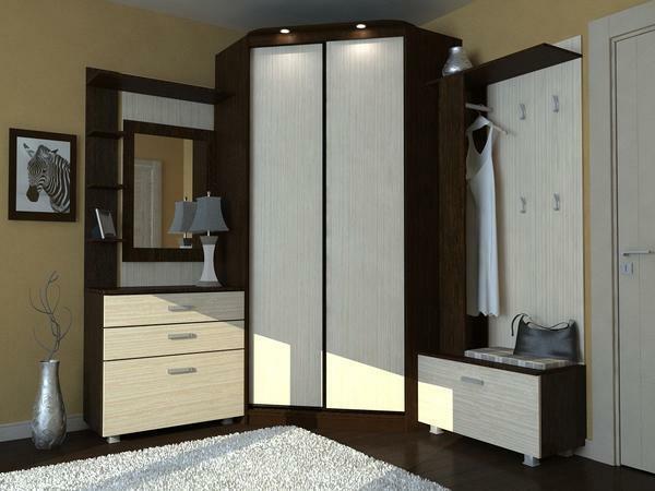 An excellent solution is to purchase a wardrobe equipped with built-in lights
