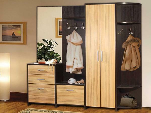 Closet in the hallway: photo and design, ideas for the interior, width of furniture for top clothes, office rounded furniture